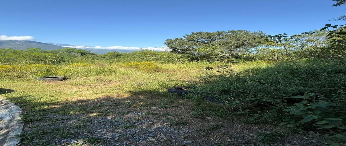 Foto de terreno habitacional en venta en  , bosques de las lomas, santiago, nuevo león, 31636112 No. 05