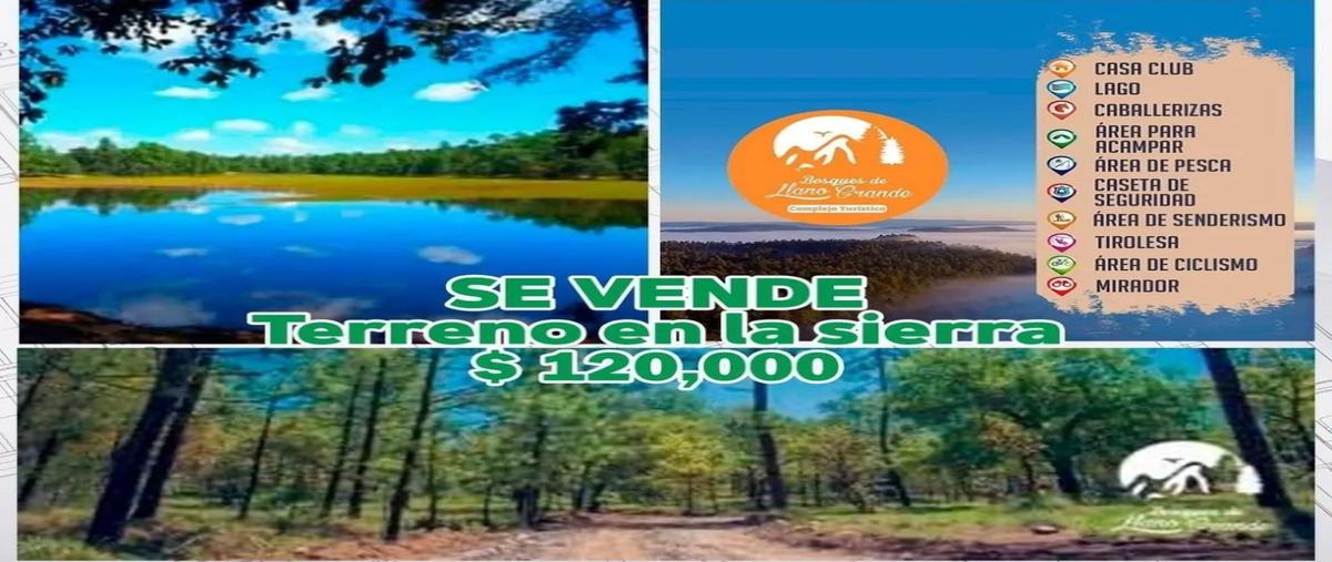 Foto de terreno habitacional en bosques de llano grande , llano grande, mezquital, durango, 0 foto 01 Foto de terreno habitacional en venta en bosques de llano grande , llano grande, mezquital, durango, 0 No. 01