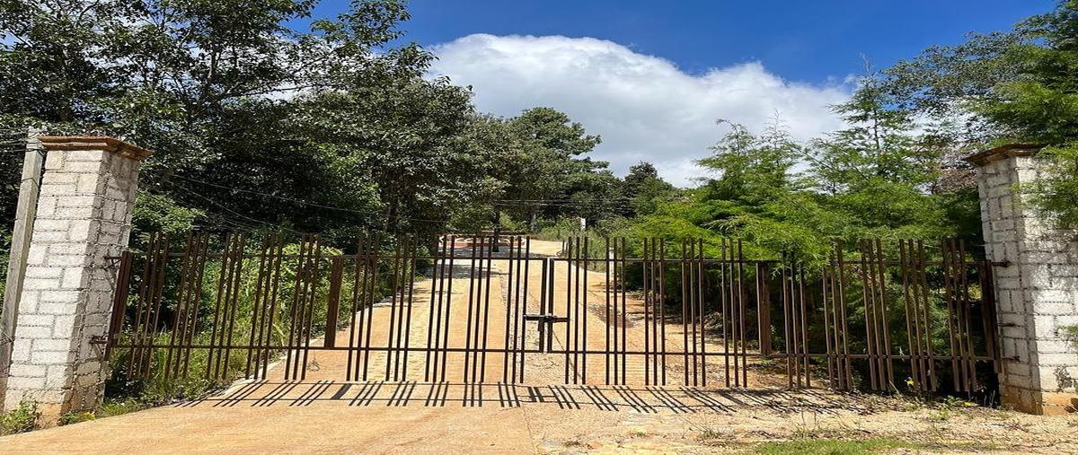 Foto de terreno habitacional en bosques de niebla , zacualpan de ecatepec, san cristóbal de las casas, chiapas, 0 foto 01 Foto de terreno habitacional en venta en bosques de niebla , zacualpan de ecatepec, san cristóbal de las casas, chiapas, 0 No. 01