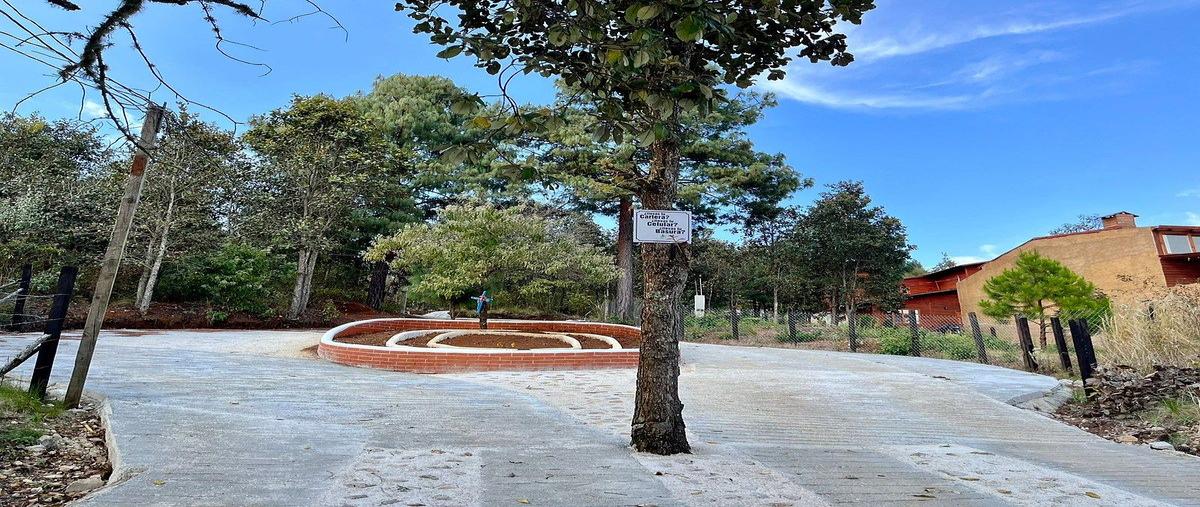 Foto de terreno habitacional en bosques de niebla , zacualpan de ecatepec, san cristóbal de las casas, chiapas, 0 foto 02 Foto de terreno habitacional en venta en bosques de niebla , zacualpan de ecatepec, san cristóbal de las casas, chiapas, 0 No. 02