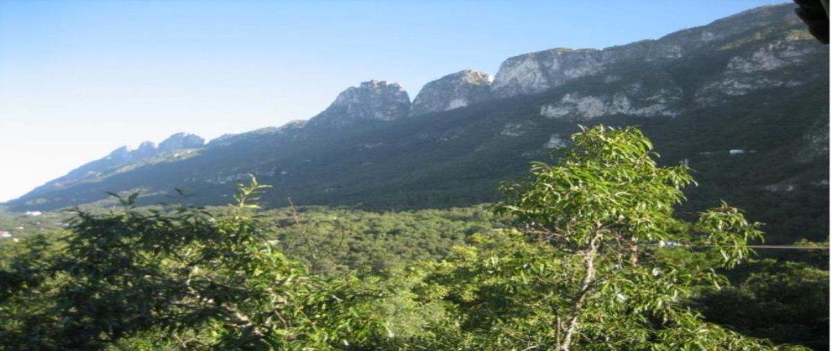 Foto de casa en venta en bosques de san ángel 223, bosques de san ángel sector palmillas, san pedro garza garcía, nuevo león, 0 No. 01