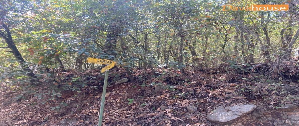 Foto de terreno habitacional en venta en  , bosques de san ángel sector palmillas, san pedro garza garcía, nuevo león, 0 No. 03