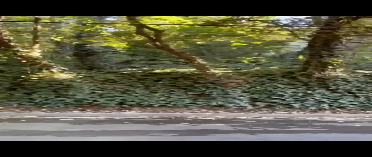 Foto de terreno habitacional en venta en  , bosques de san ángel sector palmillas, san pedro garza garcía, nuevo león, 0 No. 03