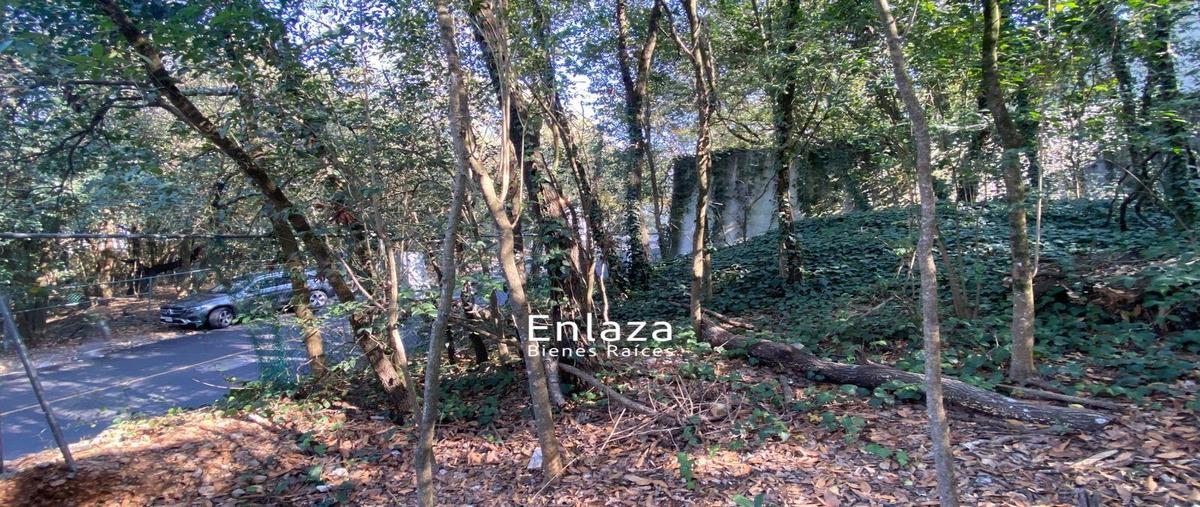 Foto de terreno habitacional en venta en  , bosques de san ángel sector palmillas, san pedro garza garcía, nuevo león, 0 No. 04