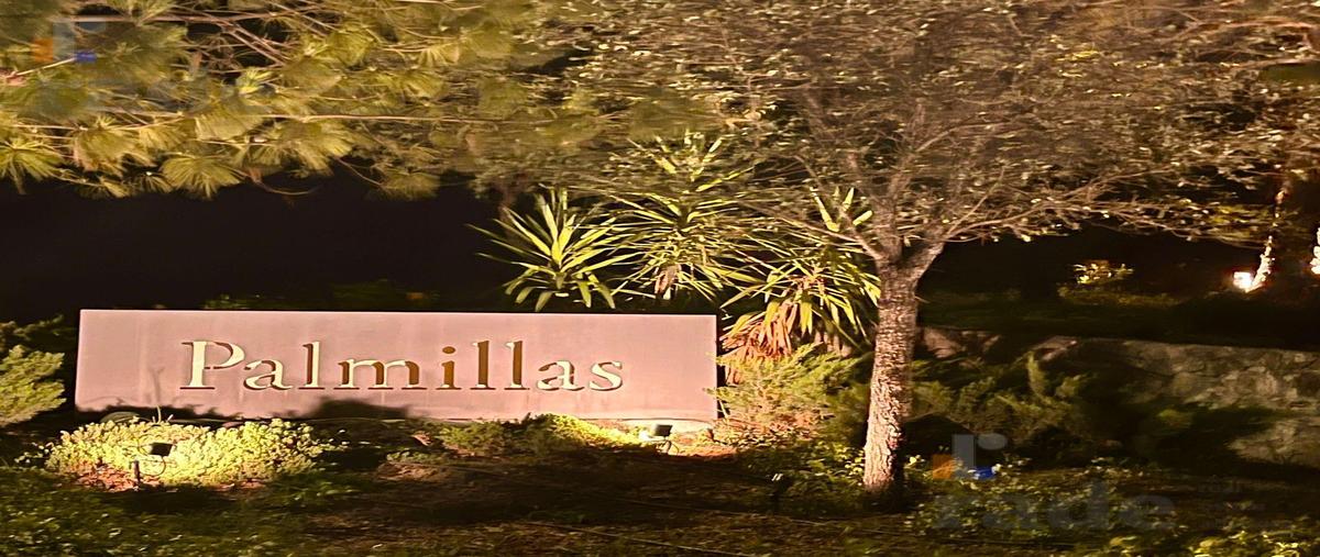 Foto de terreno habitacional en venta en  , bosques de san ángel sector palmillas, san pedro garza garcía, nuevo león, 31597337 No. 06