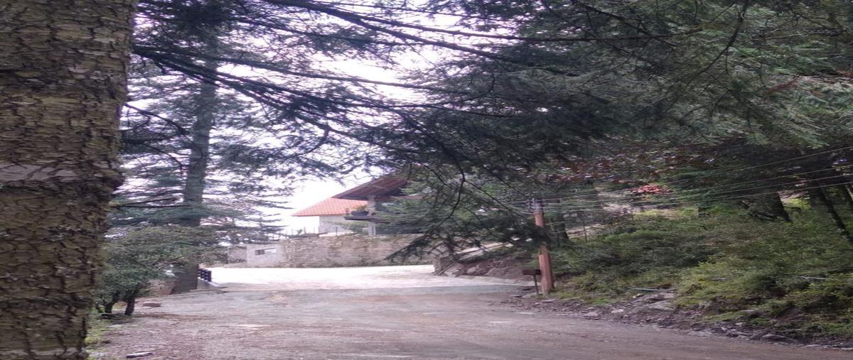Foto de terreno habitacional en venta en bosques de san cayetano, mineral del monte, hidalgo , bosques de san cayetano, mineral del monte, hidalgo, 0 No. 03