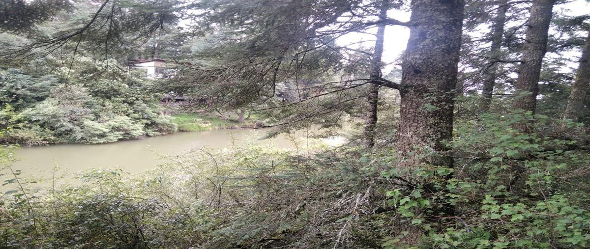Foto de terreno habitacional en venta en bosques de san cayetano, mineral del monte, hidalgo , bosques de san cayetano, mineral del monte, hidalgo, 0 No. 05