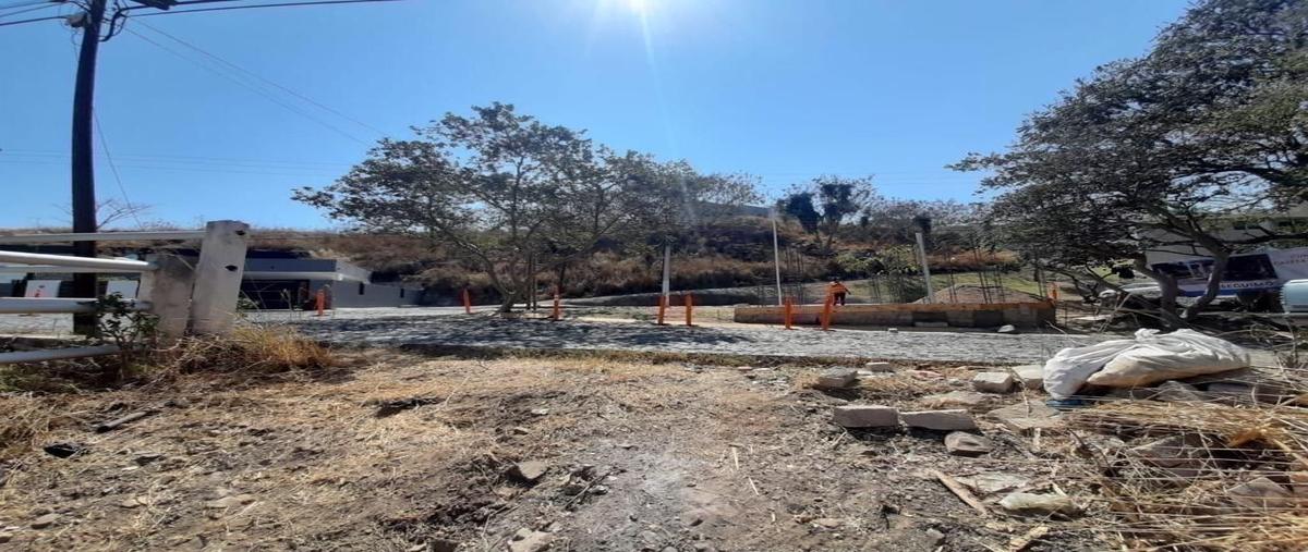 Foto de terreno comercial en venta en bosques de san isidro sur , bosques de san isidro (las cañadas), zapopan, jalisco, 0 No. 03