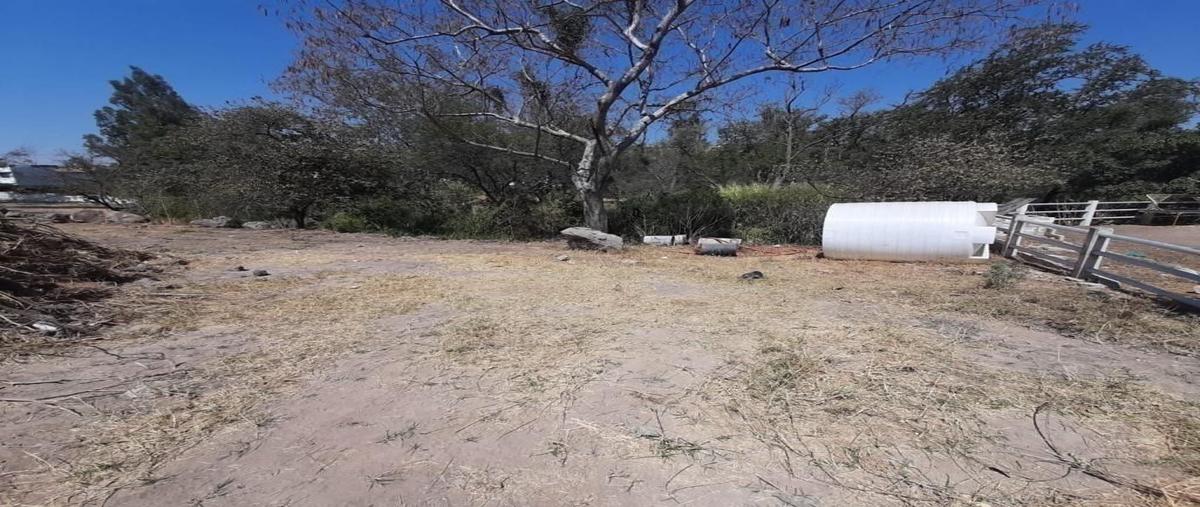 Foto de terreno comercial en venta en bosques de san isidro sur , bosques de san isidro (las cañadas), zapopan, jalisco, 0 No. 04