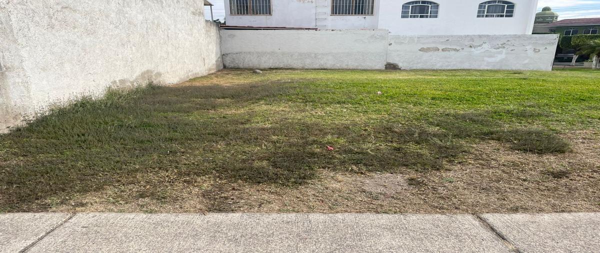 Foto de terreno habitacional en venta en  , bosques de san isidro, zapopan, jalisco, 0 No. 03