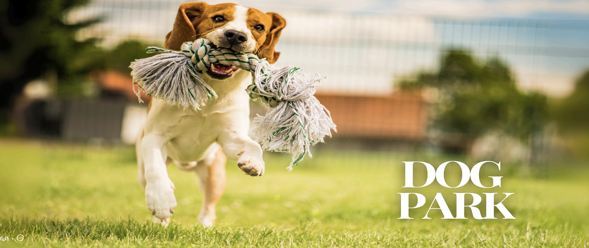 Foto de terreno habitacional en bosques de santa anita , bosques de santa anita, tlajomulco de zúñiga, jalisco, 0 foto 05 Foto de terreno habitacional en venta en bosques de santa anita , bosques de santa anita, tlajomulco de zúñiga, jalisco, 0 No. 05