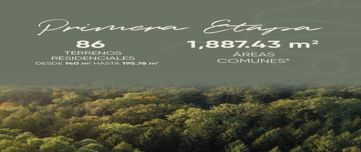 Foto de terreno habitacional en venta en  , bosques de santa anita, tlajomulco de zúñiga, jalisco, 0 No. 03