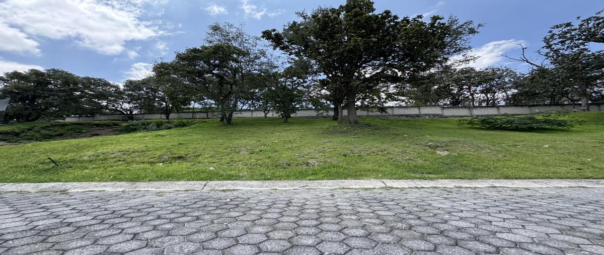 Foto de terreno habitacional en venta en  , bosques de santa anita, tlajomulco de zúñiga, jalisco, 30226402 No. 05