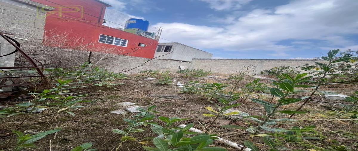 Foto de terreno habitacional en venta en  , bosques de santiago, santiago tulantepec de lugo guerrero, hidalgo, 30807954 No. 03