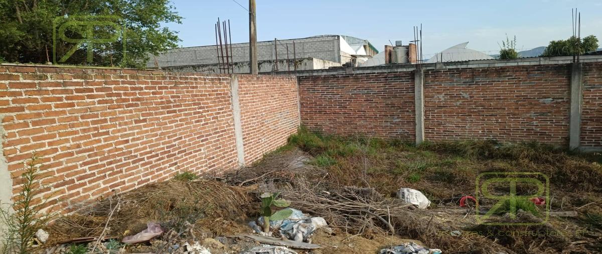 Foto de terreno habitacional en venta en  , bosques de santiago, santiago tulantepec de lugo guerrero, hidalgo, 31121792 No. 04