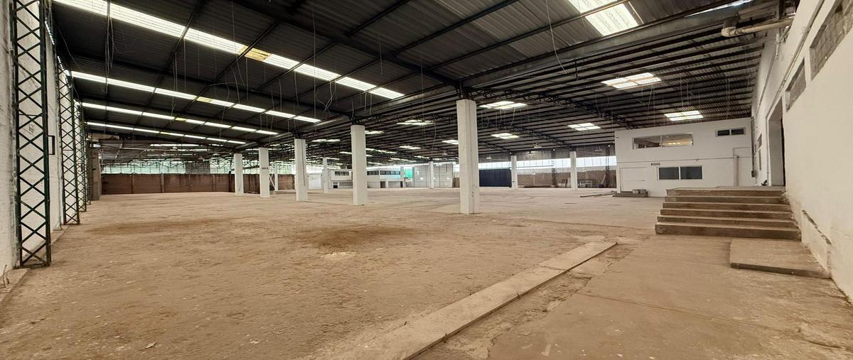 Foto de local en renta en  , bosques de zavaleta, puebla, puebla, 0 No. 05