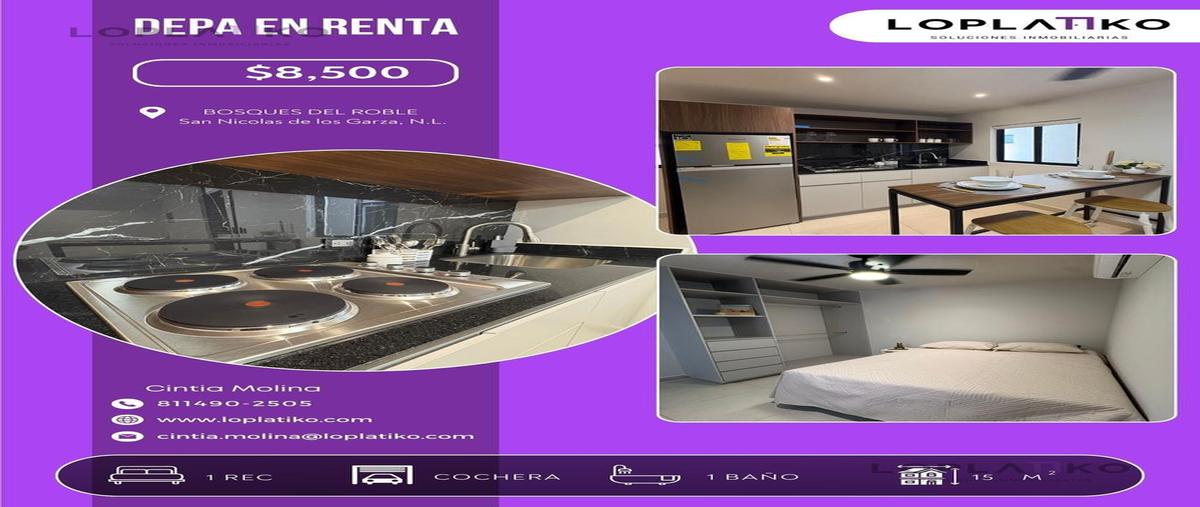 Foto de departamento en renta en  , bosques del roble, san nicolás de los garza, nuevo león, 0 No. 03