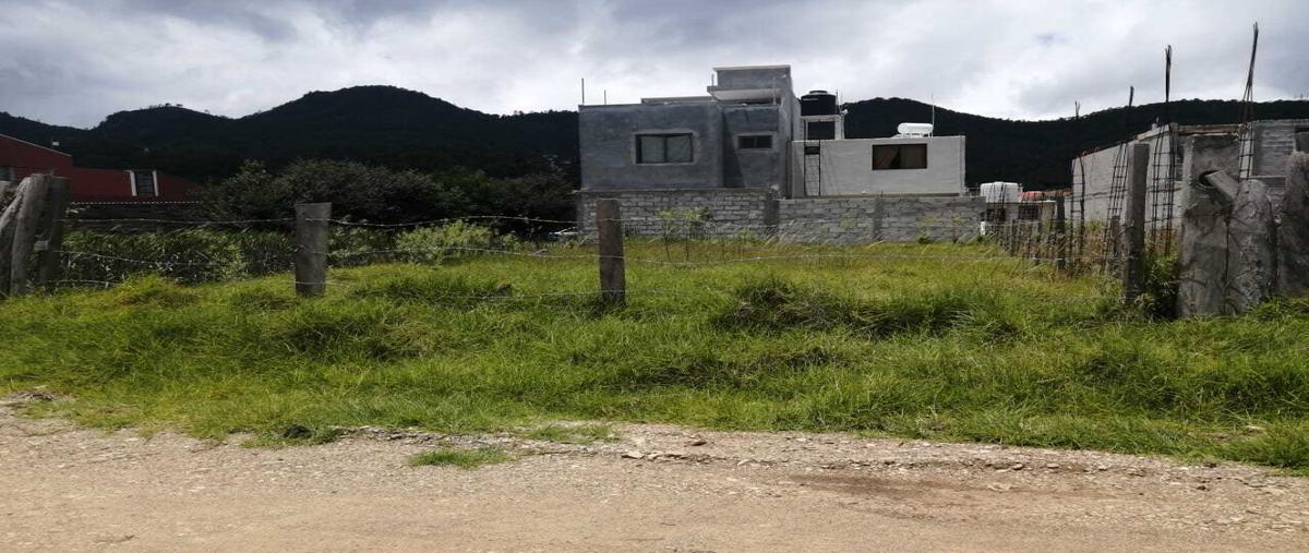 Foto de terreno habitacional en venta en  , bosques del sol, san cristóbal de las casas, chiapas, 26939469 No. 05