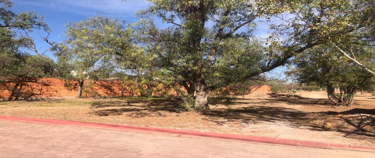 Foto de terreno habitacional en venta en  , bosques la florida, san luis potosí, san luis potosí, 0 No. 03