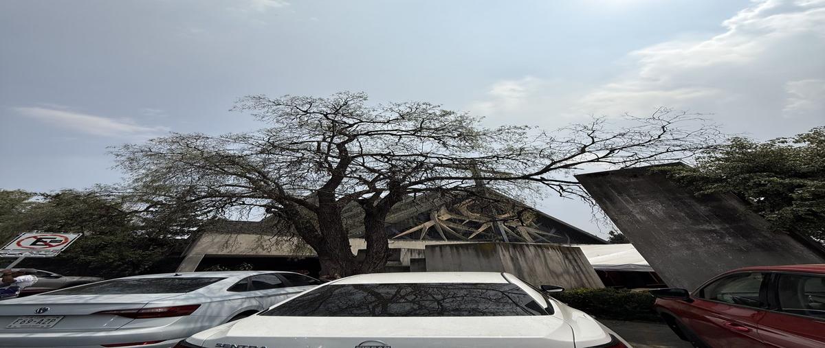 Foto de local en renta en boulevar de la luz , jardines del pedregal, álvaro obregón, df / cdmx, 0 No. 03