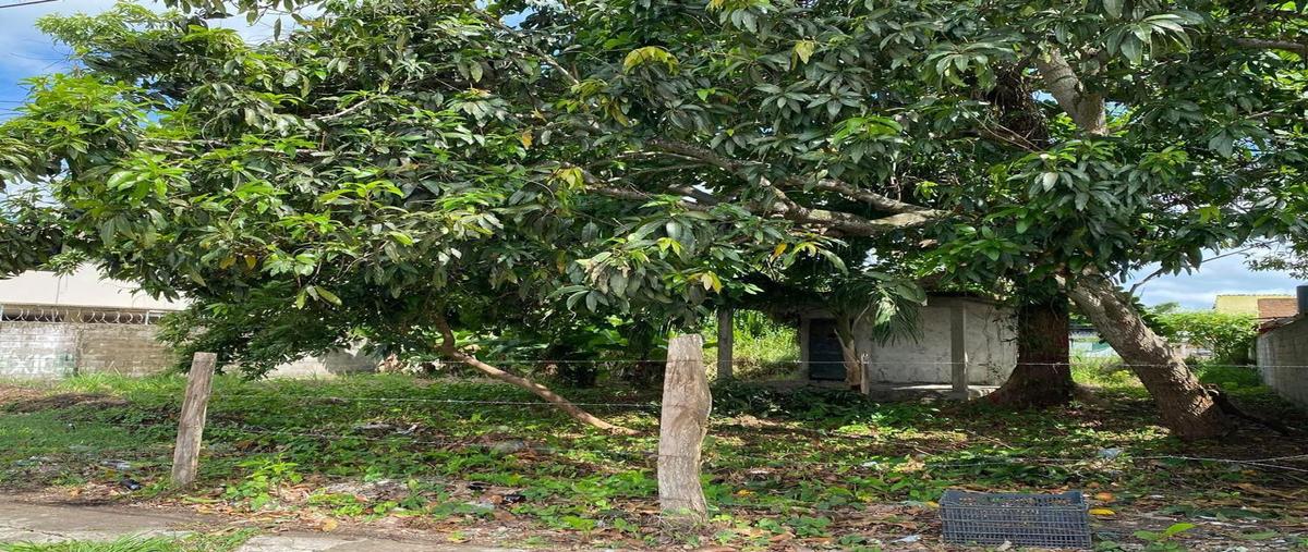 Foto de terreno comercial en renta en boulevar manuel maples arce , adolfo ruiz cortines, tuxpan, veracruz de ignacio de la llave, 28227876 No. 03