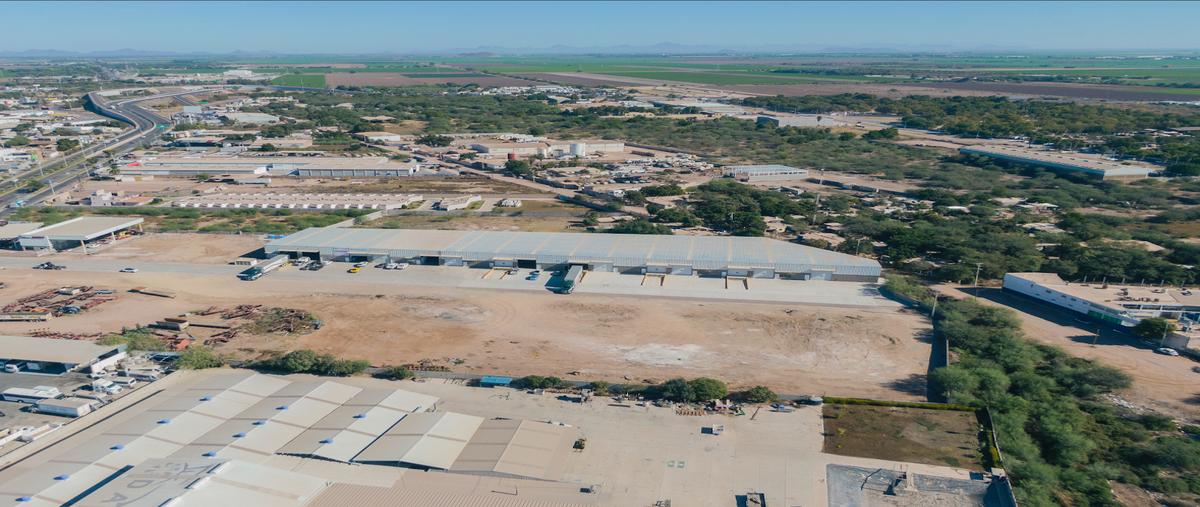Foto de bodega en renta en boulevard adolfo lópez mateos , las fuentes, ahome, sinaloa, 30527647 No. 03