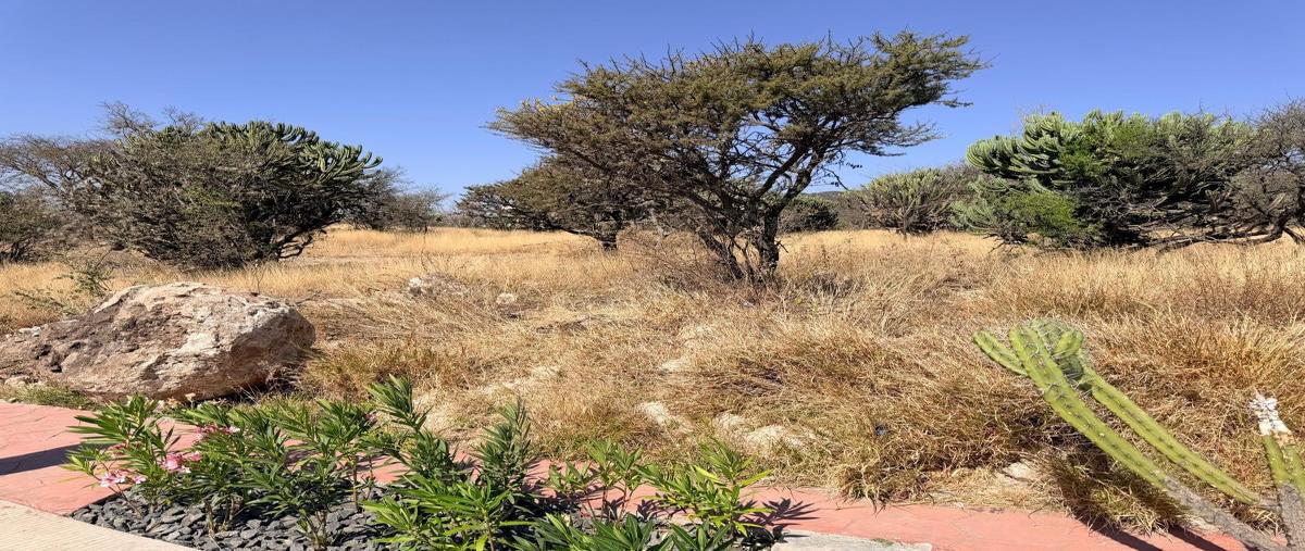 Foto de terreno habitacional en venta en boulevard altozano , altozano el nuevo querétaro, querétaro, querétaro, 30957360 No. 03
