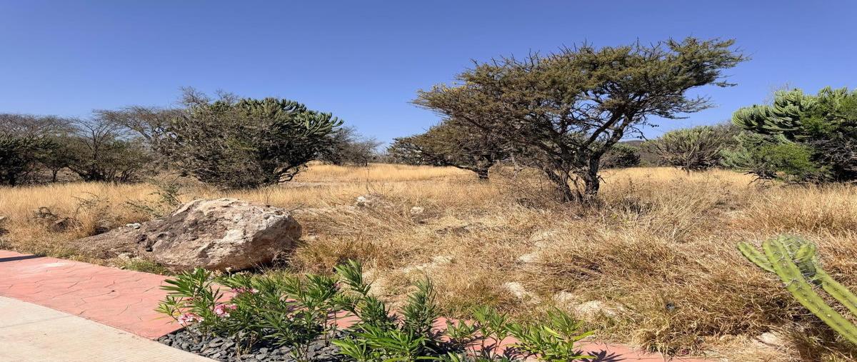 Foto de terreno habitacional en venta en boulevard altozano , altozano el nuevo querétaro, querétaro, querétaro, 30957360 No. 04