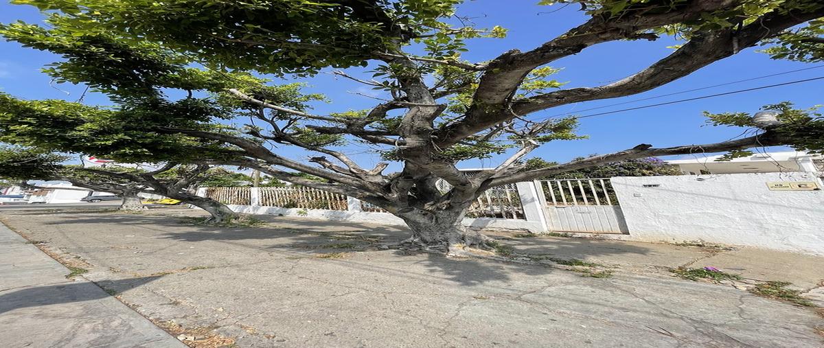 Foto de terreno comercial en boulevard ángel albino corzo , el retiro, tuxtla gutiérrez, chiapas, 30677228 foto 05 Foto de terreno comercial en venta en boulevard ángel albino corzo , el retiro, tuxtla gutiérrez, chiapas, 30677228 No. 05