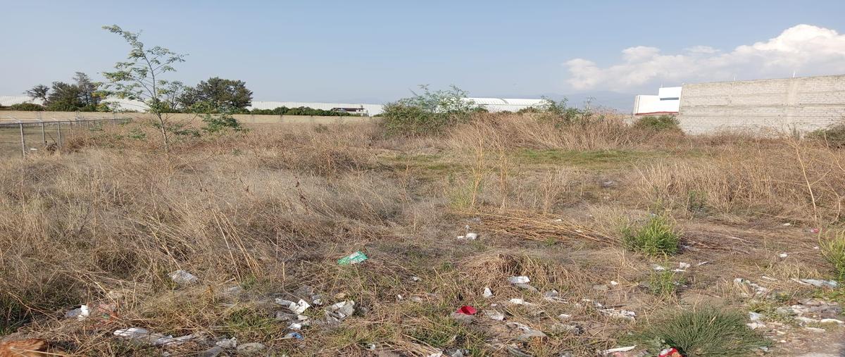 Foto de terreno comercial en renta en boulevard arturo montiel rojas , la conchita, chalco, méxico, 29750317 No. 04