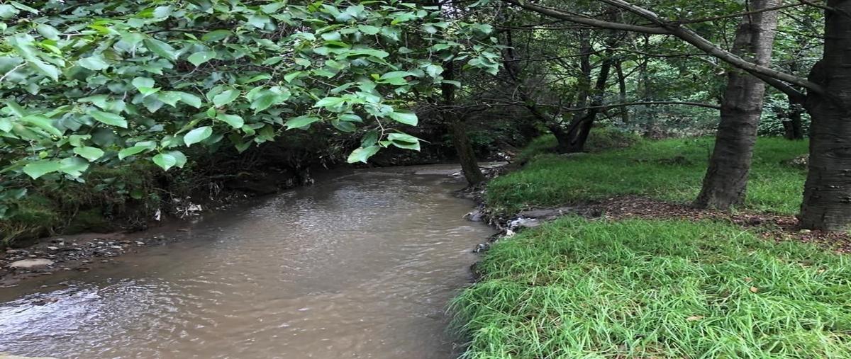 Foto de terreno habitacional en venta en boulevard bosque real , bosque real, huixquilucan, méxico, 28400747 No. 05