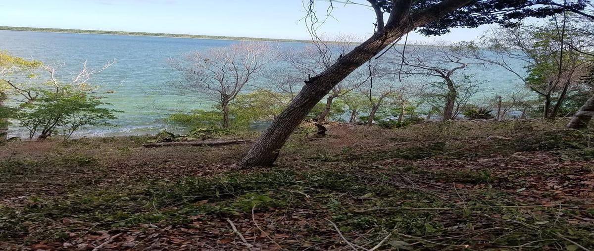 Foto de terreno habitacional en venta en boulevard costera , san felipe bacalar, bacalar, quintana roo, 0 No. 03