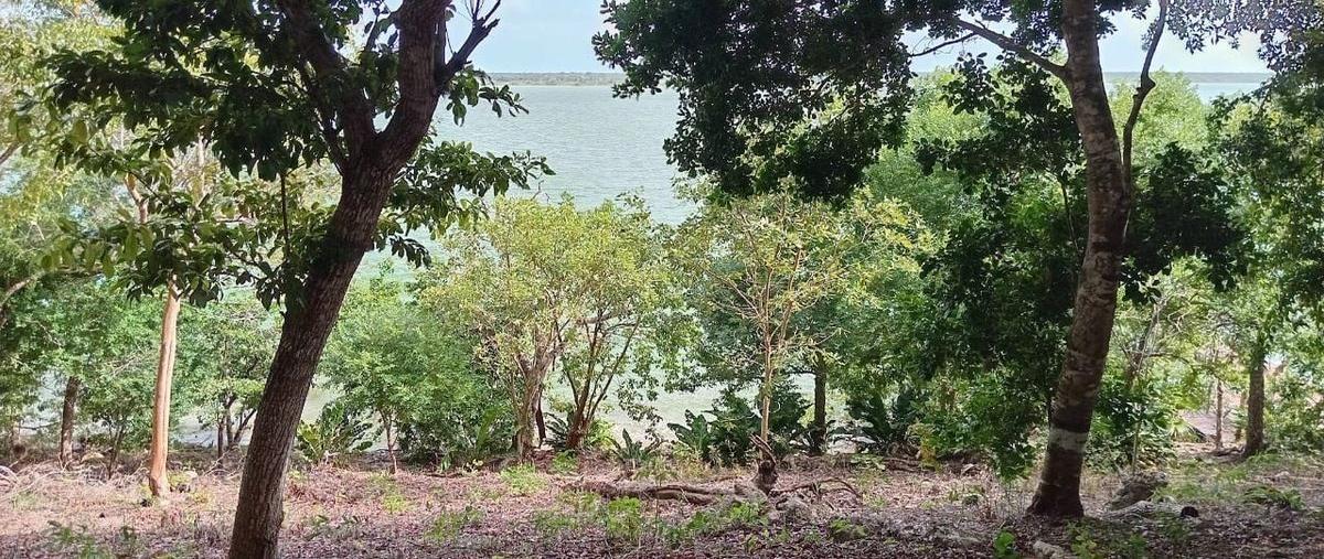 Foto de terreno habitacional en venta en boulevard costera , san felipe bacalar, bacalar, quintana roo, 0 No. 04