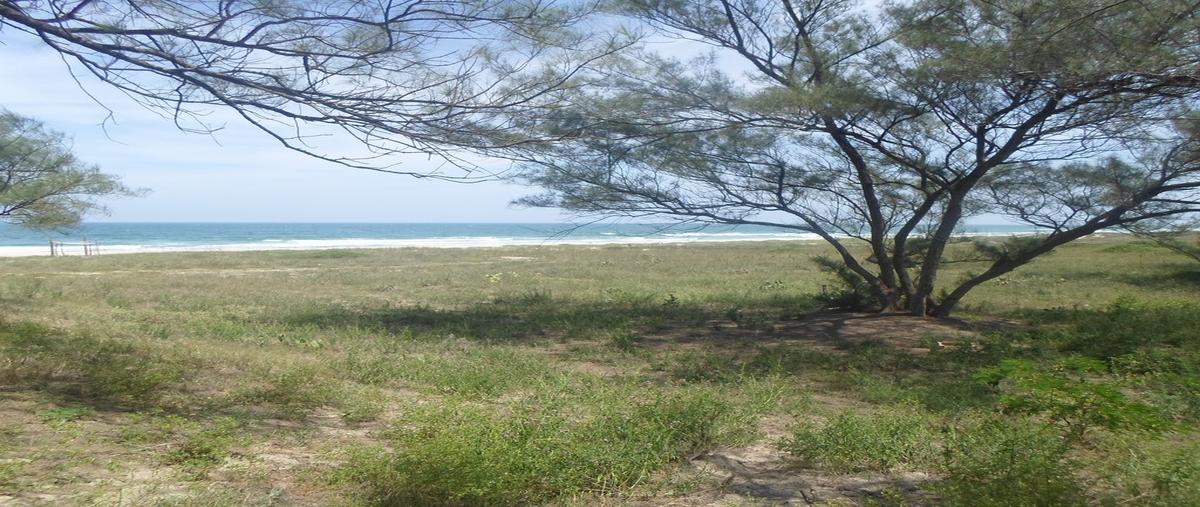 Foto de terreno habitacional en venta en boulevard costero por "el naturista" , miramar, ciudad madero, tamaulipas, 2421368 No. 04