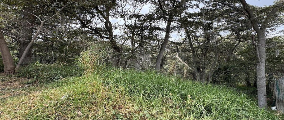 Foto de terreno industrial en venta en boulevard de la torre , condado de sayavedra, atizapán de zaragoza, méxico, 30984807 No. 05