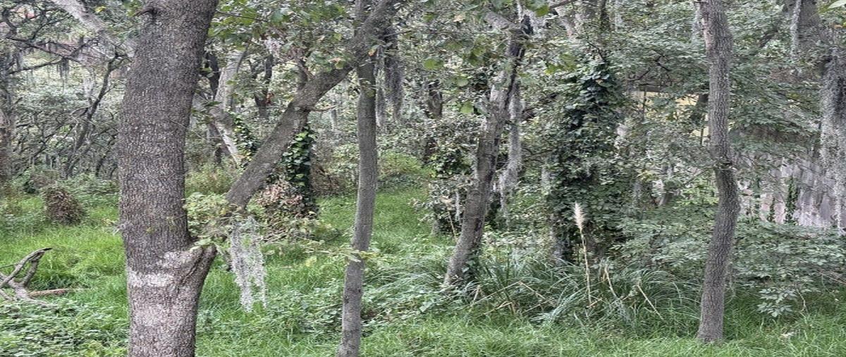 Foto de terreno industrial en venta en boulevard de la torre , condado de sayavedra, atizapán de zaragoza, méxico, 30984807 No. 06