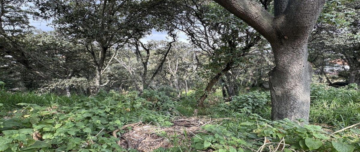 Foto de terreno industrial en venta en boulevard de la torre , condado de sayavedra, atizapán de zaragoza, méxico, 30984807 No. 08