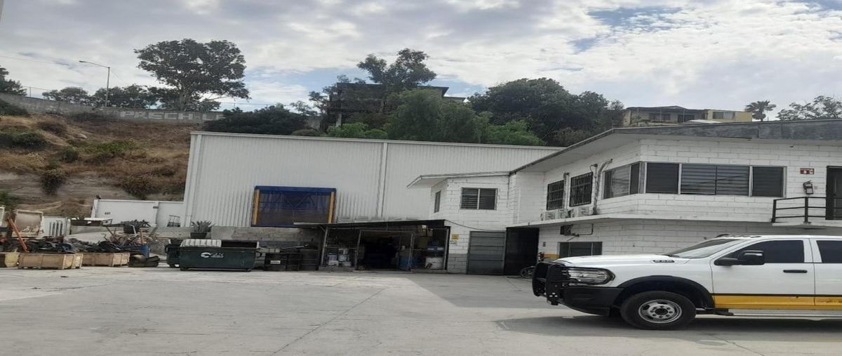 Foto de bodega en renta en boulevard diaz ordaz , los pinos (limón), tijuana, baja california, 0 No. 04
