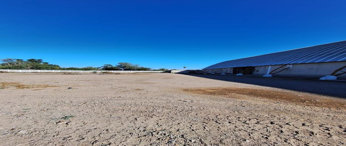 Foto de terreno comercial en renta en boulevard emiliano zapata 4701, las flores, culiacán, sinaloa, 0 No. 05