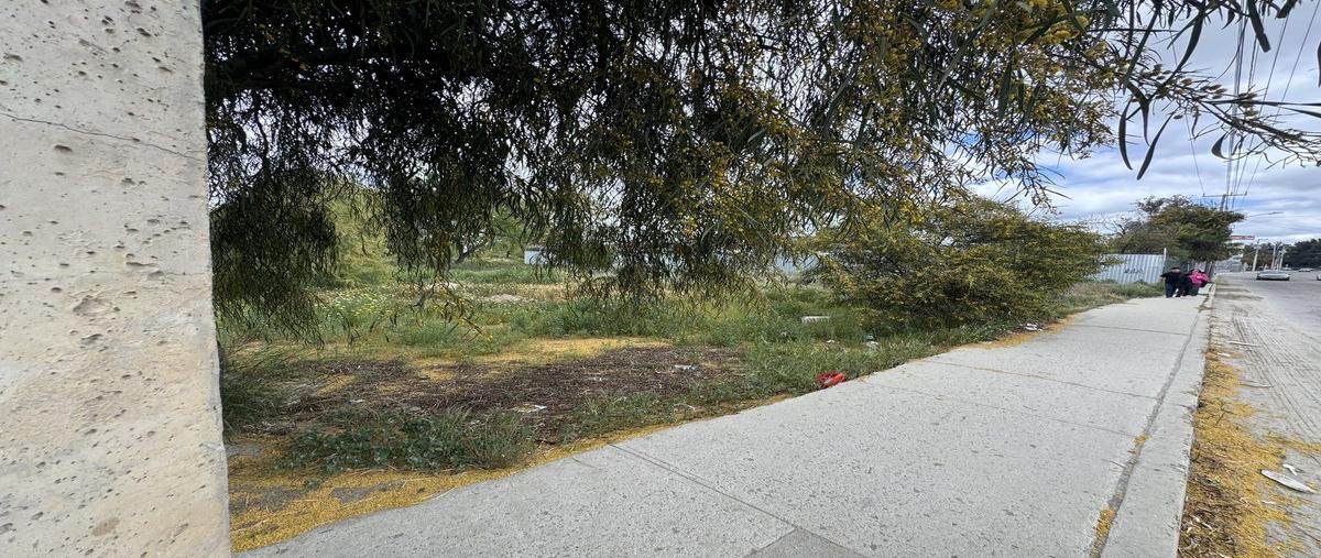 Foto de terreno comercial en boulevard encino , el encinal, tecate, baja california, 30016651 foto 03 Foto de terreno comercial en renta en boulevard encino , el encinal, tecate, baja california, 30016651 No. 03