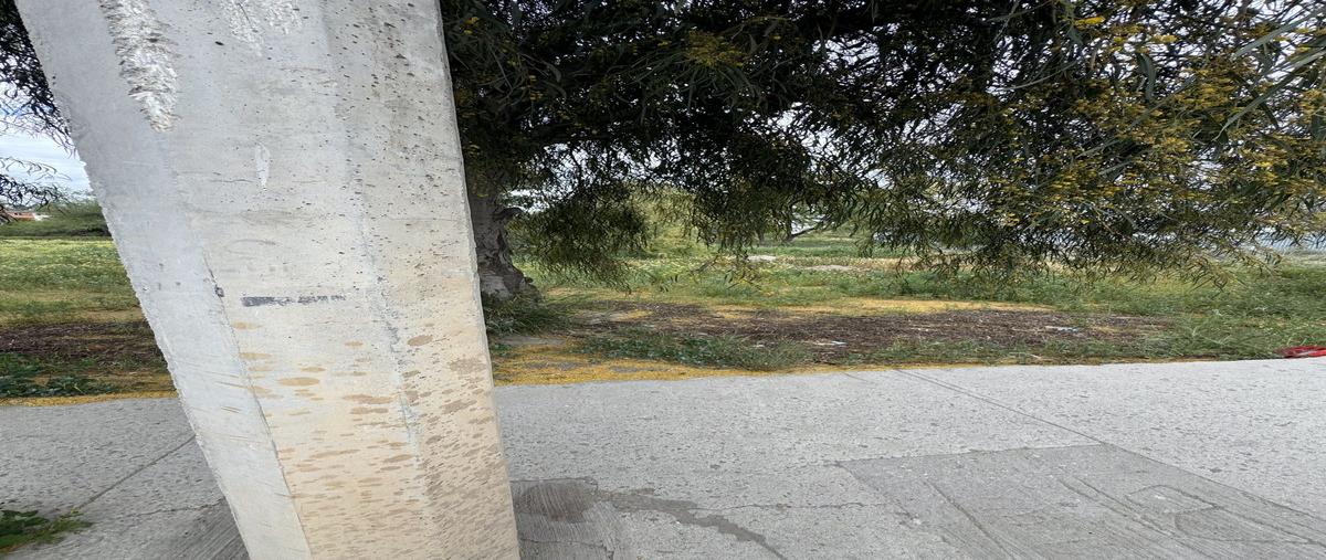 Foto de terreno comercial en boulevard encino , el encinal, tecate, baja california, 30016651 foto 04 Foto de terreno comercial en renta en boulevard encino , el encinal, tecate, baja california, 30016651 No. 04