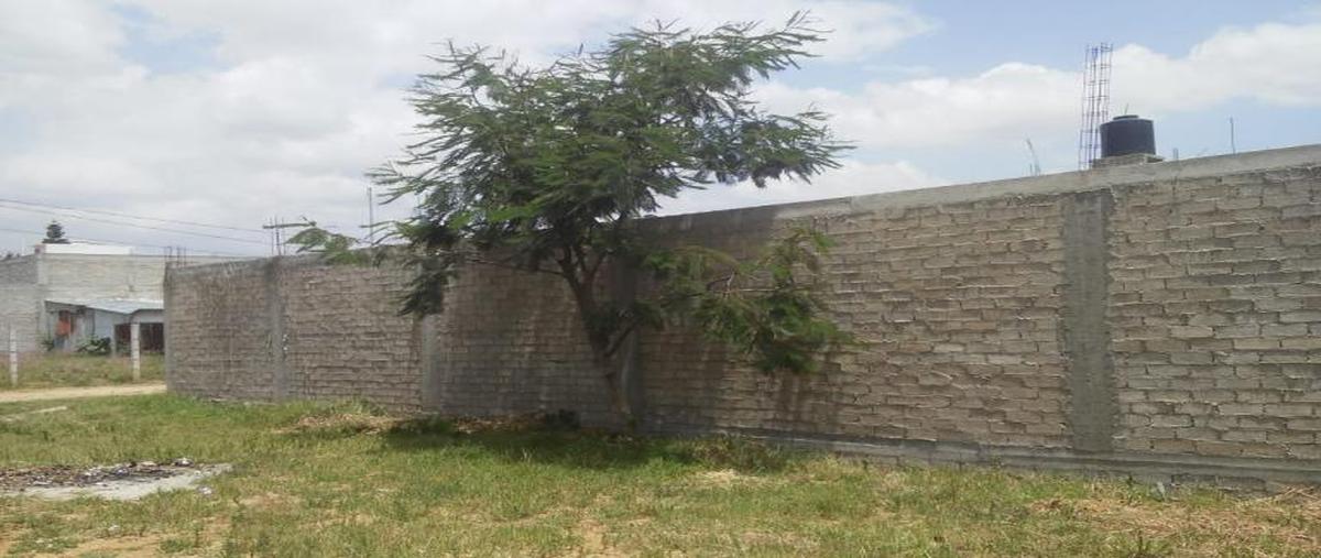 Foto de terreno habitacional en venta en boulevard escuela m?dico militar 03, cuilápam de guerrero centro, cuilápam de guerrero, oaxaca, 8878751 No. 04