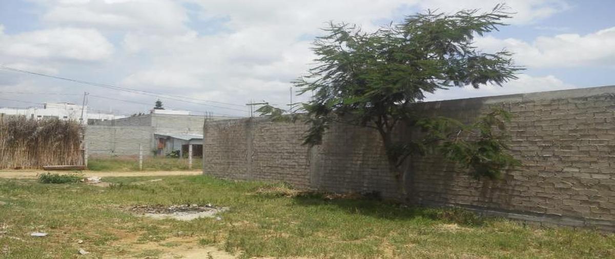 Foto de terreno habitacional en venta en boulevard escuela m?dico militar 03, cuilápam de guerrero centro, cuilápam de guerrero, oaxaca, 8878751 No. 05