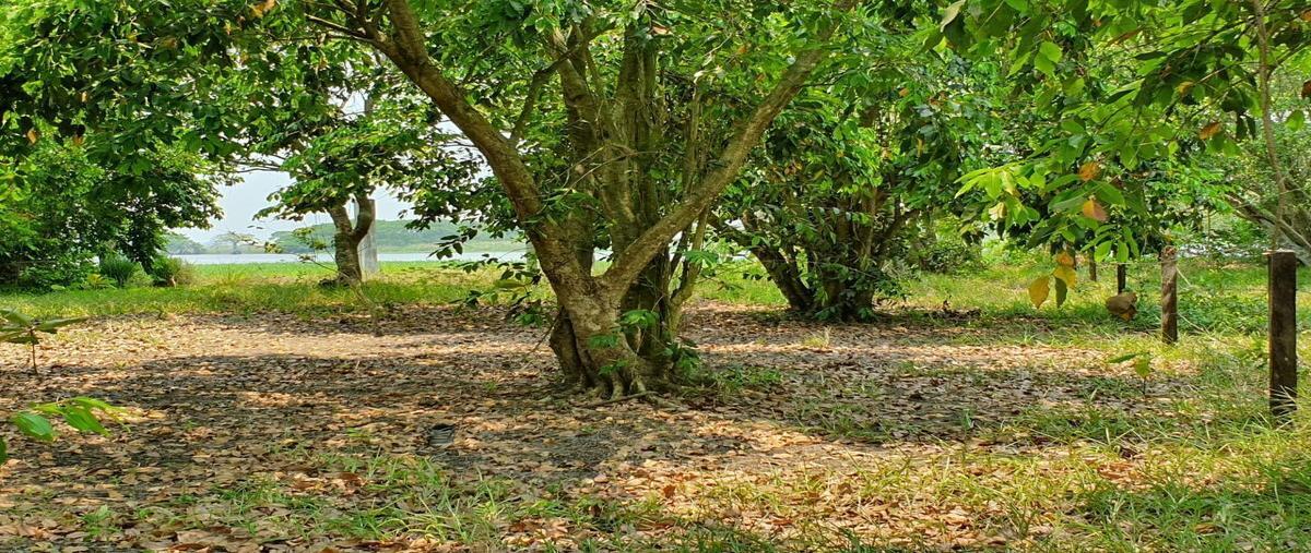 Foto de terreno habitacional en boulevard fertimex , fertimex, coatzacoalcos, veracruz de ignacio de la llave, 23765292 foto 03 Foto de terreno habitacional en venta en boulevard fertimex , fertimex, coatzacoalcos, veracruz de ignacio de la llave, 23765292 No. 03