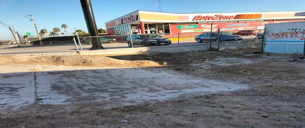 Foto de terreno comercial en boulevard forjadores , mezquitito, la paz, baja california sur, 27068820 foto 04 Foto de terreno comercial en venta en boulevard forjadores , mezquitito, la paz, baja california sur, 27068820 No. 04
