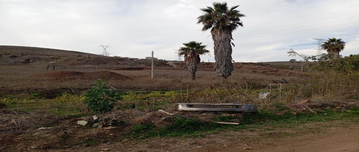 Foto de terreno habitacional en venta en boulevard francisco aguilar enriquez , mar de popotla, playas de rosarito, baja california, 30610543 No. 04
