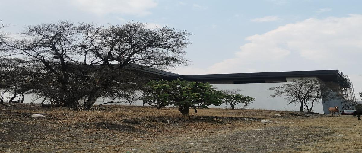 Foto de terreno habitacional en venta en boulevard haras , campestre haras, amozoc, puebla, 0 No. 05
