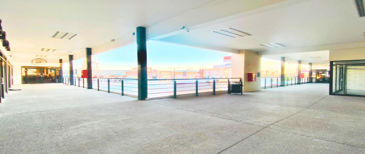 Foto de local en renta en boulevard independencia , residencial el fresno, torreón, coahuila de zaragoza, 30017599 No. 04