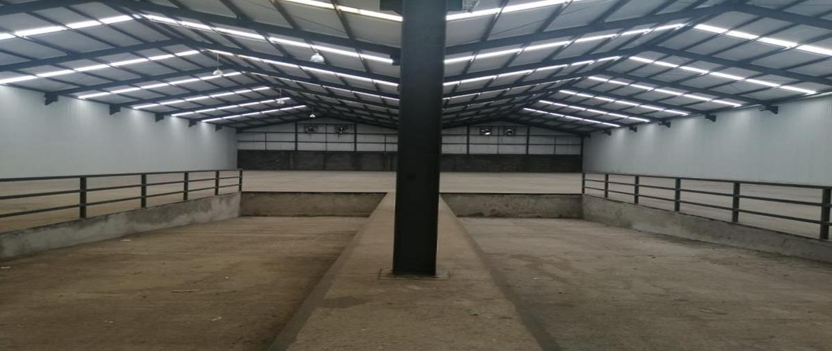 Foto de bodega en renta en boulevard jose maria patoni 7121, san juan, durango, durango, 21671143 No. 04