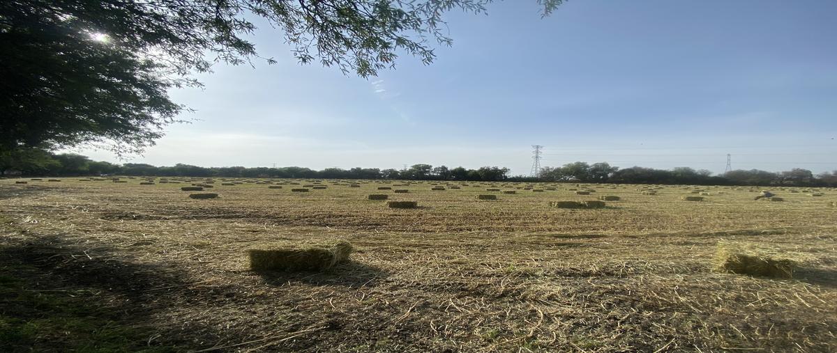 Foto de terreno comercial en boulevard juan pablo ll , primera fracción de crespo (el molino), celaya, guanajuato, 29750493 foto 02 Foto de terreno comercial en venta en boulevard juan pablo ll , primera fracción de crespo (el molino), celaya, guanajuato, 29750493 No. 02